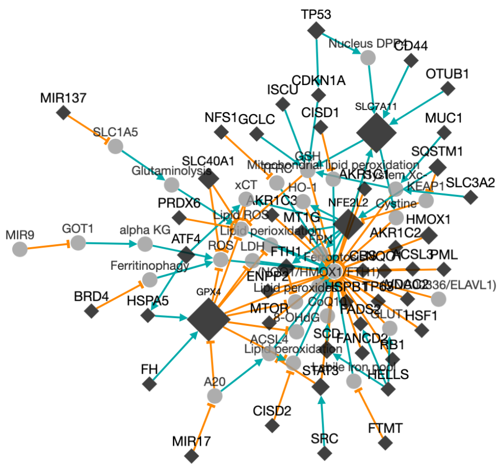 how to visualize network